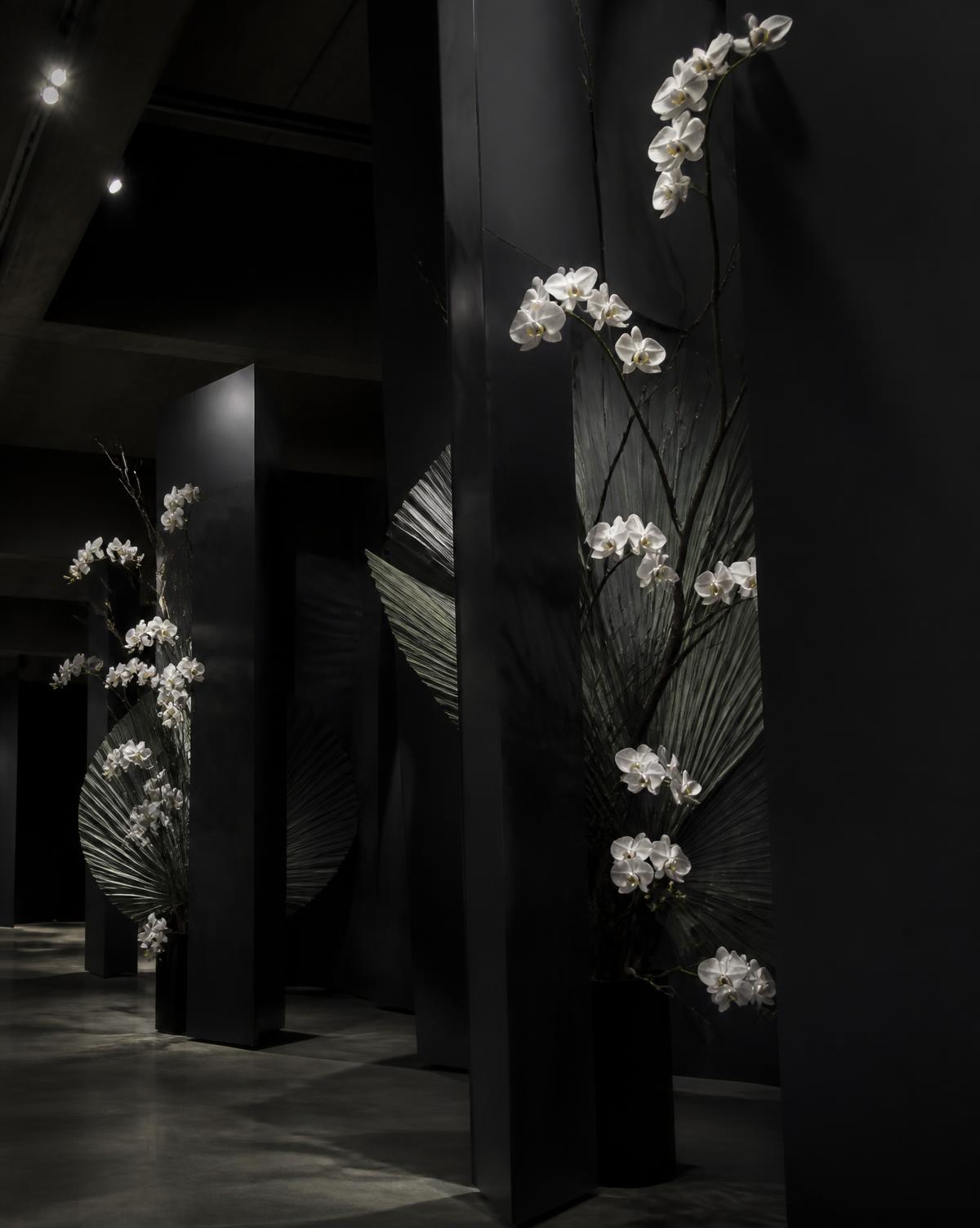 White orchids arranged between black architectural panels in a gallery